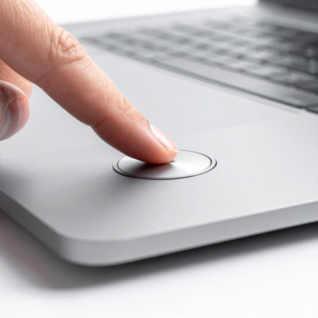 With a simple touch, a user securely accesses their personal data.の素材