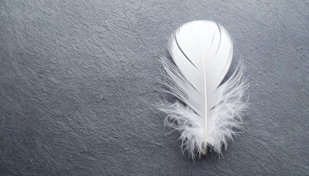 A single, delicate white feather rests gently upon a cool, dark slate background. This minimalist composition evokes a sense of peace, tranquility, and the simple, fragile beauty found in nature.の素材