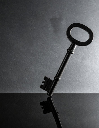 A single, antique key stands poised on a reflective surface, its silhouette a stark symbol against a dramatic background.の素材