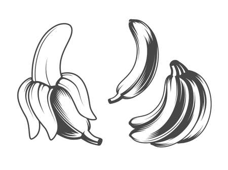 banana iconsのイラスト素材