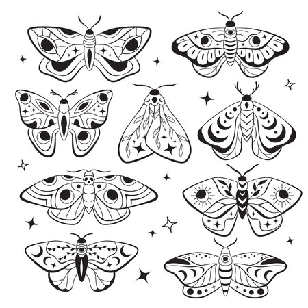Celestial moon night moths, esoteric butterflies, boho line illustrations, set of vector drawingsのイラスト素材