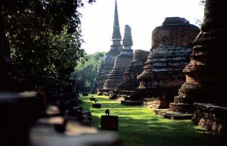 Buddhist temple ruin in Ayutthaya History Parcの写真素材