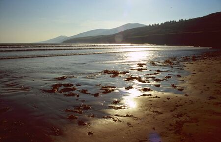 Beach at sunset at dingle peninsula, Irelandの写真素材