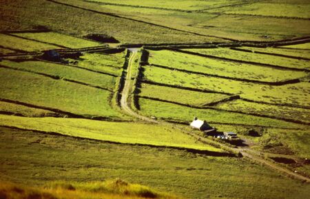 Green meadows in County Kerry, Irelandの写真素材
