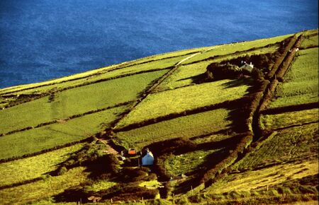 Green meadows in County Kerry, Irelandの写真素材