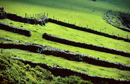 Green meadows in County Kerry, Irelandの写真素材