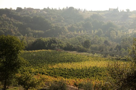 Tuscany hills in Chianti near Gambassi Termeの写真素材