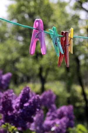 Clothespins on the line and purple lilacsの写真素材