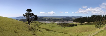 Meadows and hills on the Coromandel Peninsula, North Island, New Zealandの写真素材
