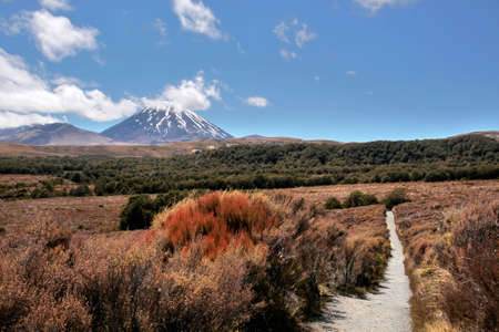 Mount Ngauruhoe in Tongariro National Park, Manawatu-Wanganui, New Zealandの写真素材