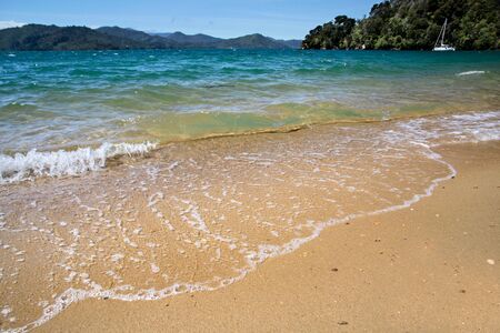 Beach  in the Marlborough Sounds near Picton, South Island, New Zealandの写真素材