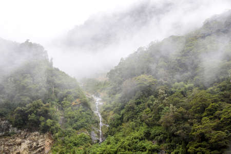 Cloud forest, Westland-National park, New Zealand