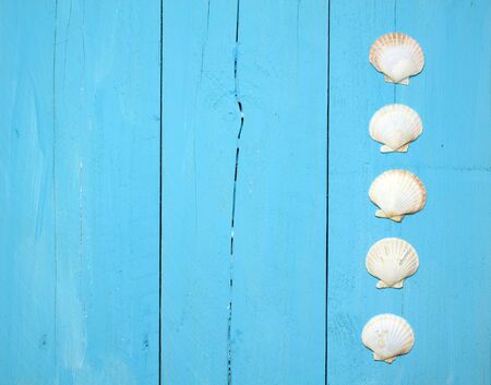 Maritime decorations on a bright blue wooden wall