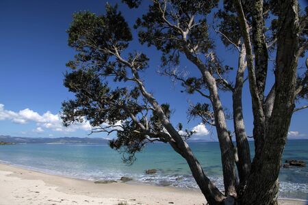 Coast line at Kuaotunu Bay,  Coromandel Peninsula, New Zealandの写真素材