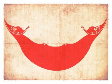 Flag of the chilenian province Nui created in grunge styleの写真素材