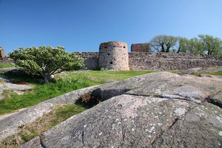 Hammershus castle ruin with a distinctive tree on Bornholm, Denmarkの写真素材