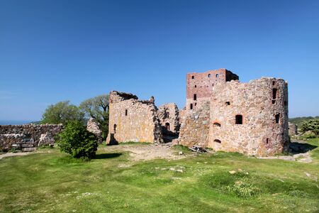 Hammershus castle ruin with a distinctive tree on Bornholm, Denmarkのeditorial素材