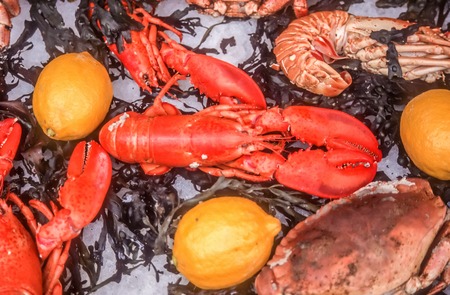 Lobster at the fish market at the Cours Saleya in Nice, Cote Azur, Franceの写真素材