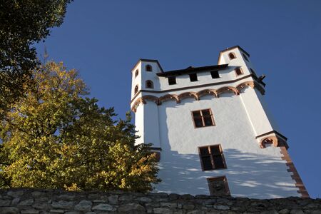 Electoral Castle of Eltville, Rheingau, Hesse, Germanyのeditorial素材