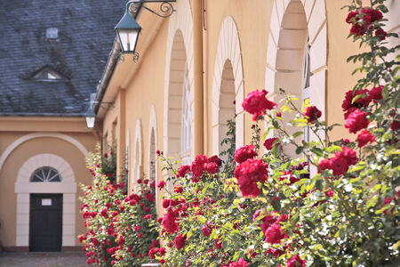 Courtyard of Palace of Johannisberg in the Rheingau, Hesse, Germanyのeditorial素材