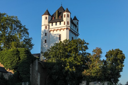 Electoral Castle of Eltville, Rheingau, Hesse, Germanyのeditorial素材