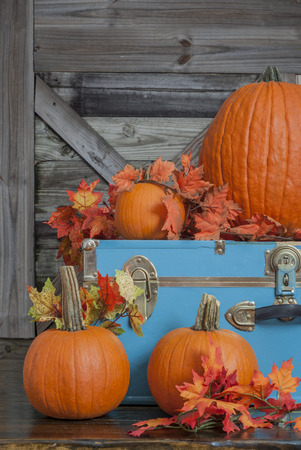 Pumpkins on a country porchの写真素材
