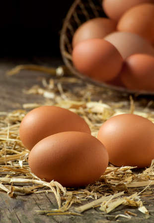 organic farm fresh eggs