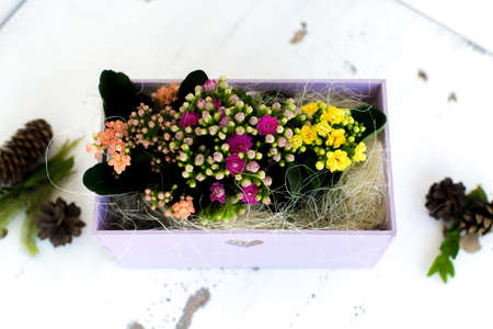 Kalanchoe in a wooden box with a heartの写真素材