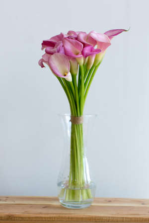 Bunch of pink callas in the vase on white backgroundの写真素材