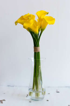 Bunch of yellow callas in the vase on white backgroundの写真素材