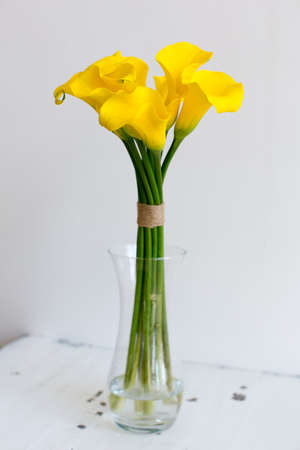 Bunch of yellow callas in the vase on white backgroundの写真素材