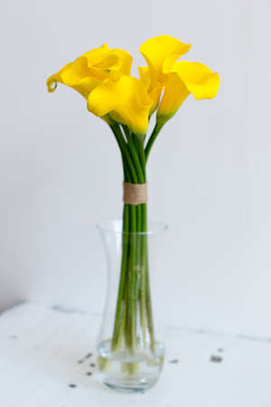 Bunch of yellow callas in the vase on white backgroundの写真素材