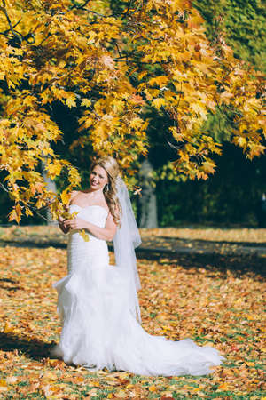 delicate beautiful bride with a white dress against the background of the autumn landscapeの写真素材