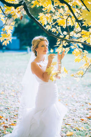 delicate beautiful bride with a white dress against the background of the autumn landscapeの写真素材