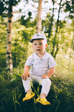 Little boy in shorts sitting up a tree on summerの写真素材