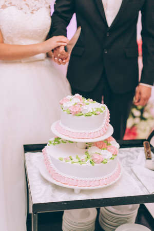 Wedding ceremony. Bride and groom cutting cake.の写真素材