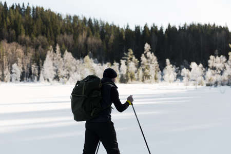 Skier tourist with a backpack on a frozen lake in the woods around the sunの写真素材