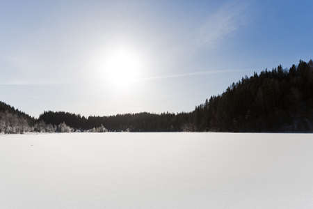 Winter field landscape with the frosty trees lit by soft sunset light - snowy landscape scene in warm tones with snow covered field and trees covered with frostの写真素材
