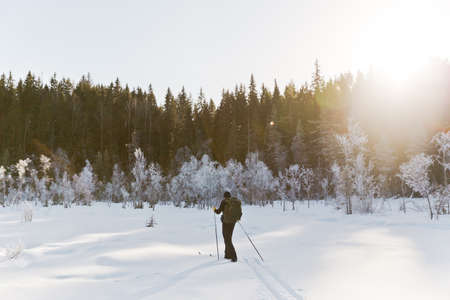 Skier tourist with a backpack on a frozen lake in the woods around the sunの写真素材