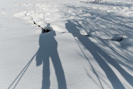 Shadow silhouette of tourists skiing in the snow in the forestの写真素材