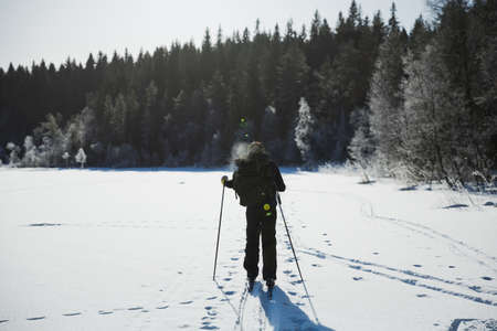Skier tourist with a backpack on a frozen lake in the woods around the sun
