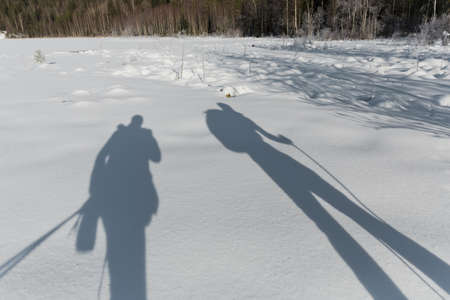 Shadow silhouette of tourists skiing in the snow in the forestの写真素材