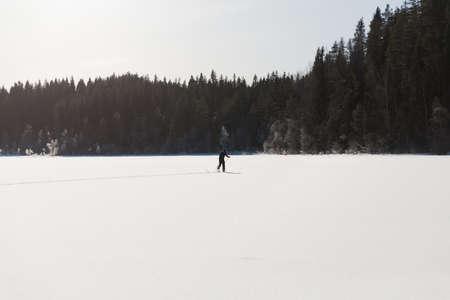 The skier slides down the hill around the forest on a sunny dayの写真素材