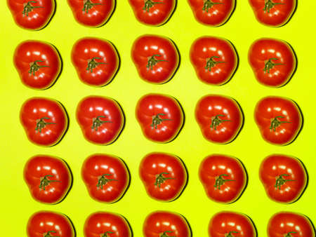 Colorful pattern of fresh tomato on a light green background. Top viewの写真素材