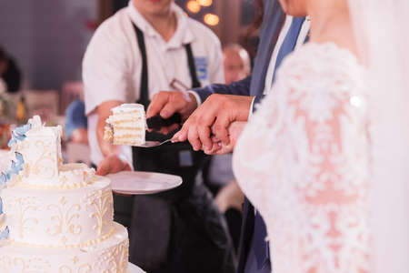 Bride and a groom is cutting their wedding cakeの写真素材