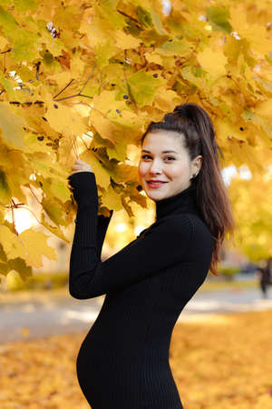 Young beautiful pregnant woman with dark hair in a black tight dress posing on an autumn meadow in the parkの写真素材