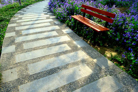 Pathway in a parkの写真素材