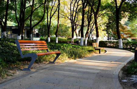 Pathway in a parkの写真素材