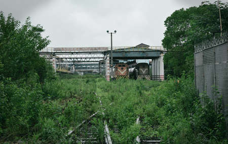Locomotive train at a station