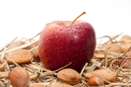 closeup of red apples with waterdrops and nuts isolated on white backgroundの写真素材